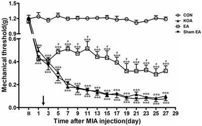 5-HT7 Receptor Is Involved in Electroacupuncture Inhibition of Chronic Pain in the Spinal Cord